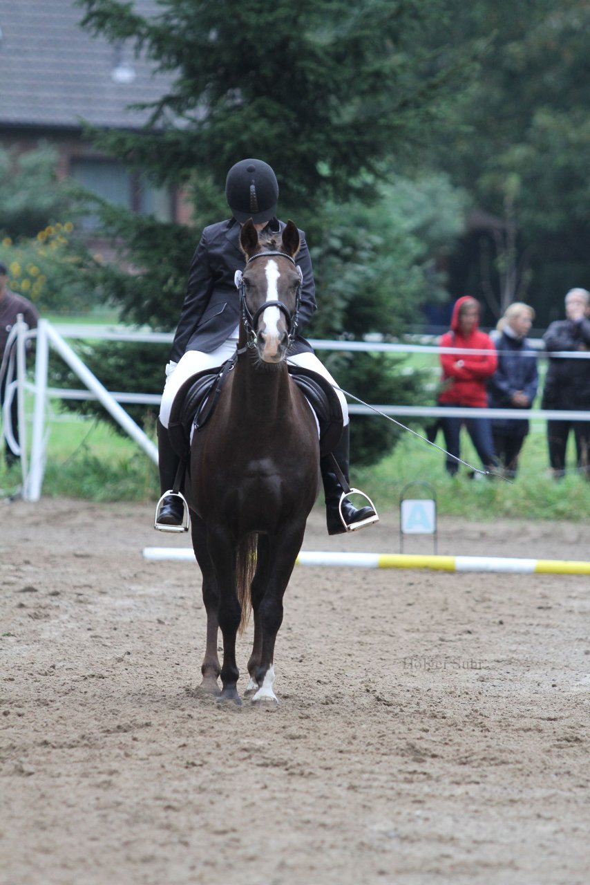 Bild 453 - WBO-Turnier am 18.9.11